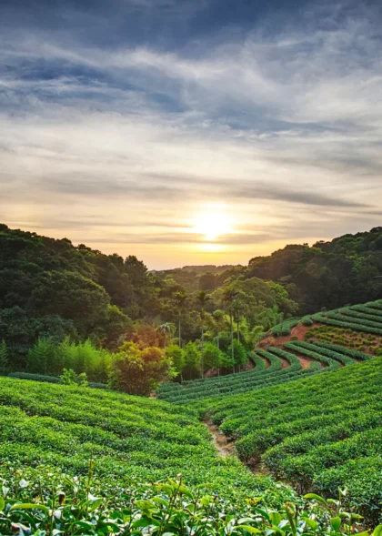 Untitled design - 2025-10-29T041327_680