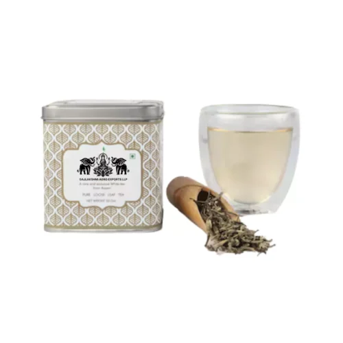 Untitled design - 2025-10-29T203952_973